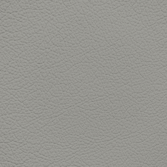 Porsche Silver Grey Leather Dye