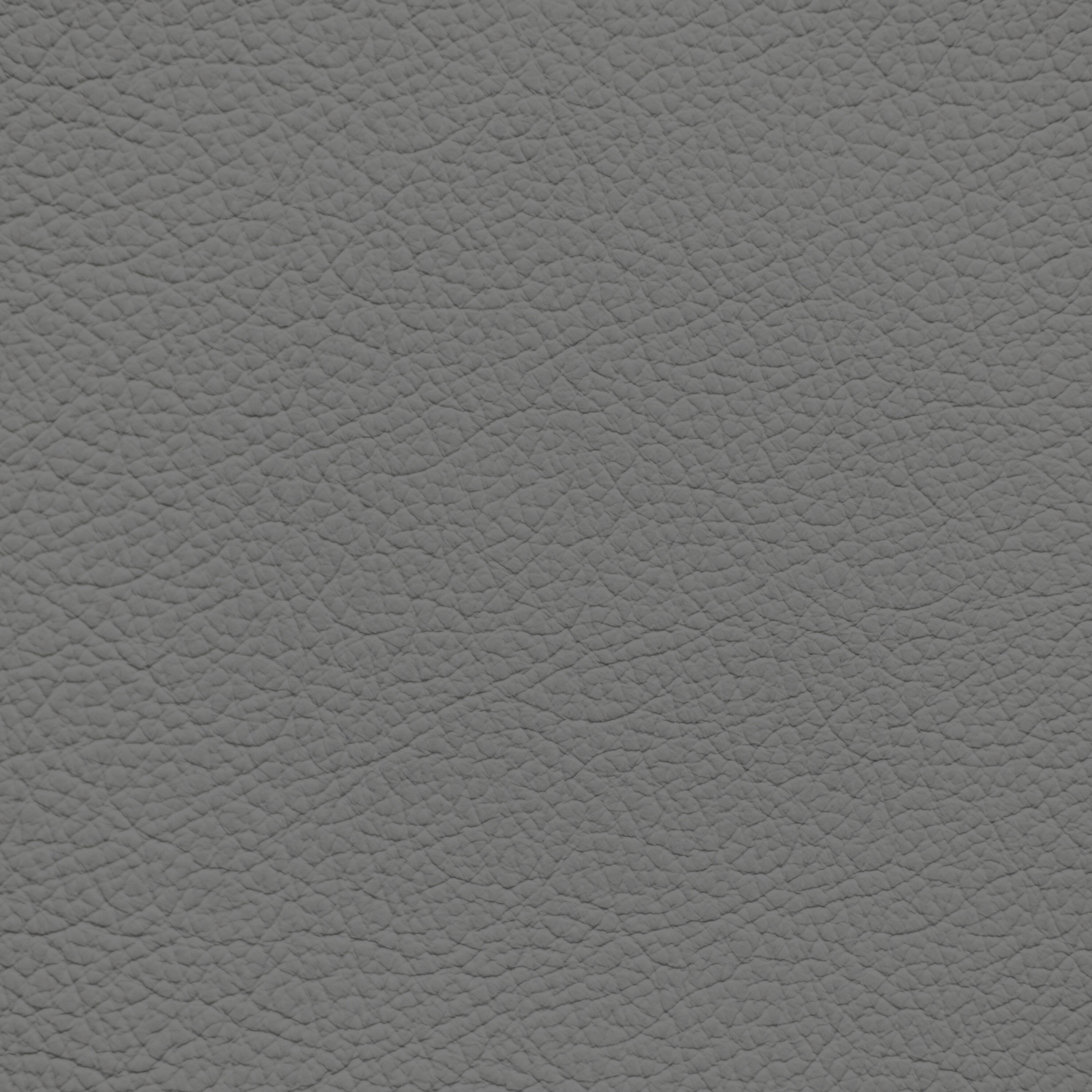 Ford/Lincoln/Mercury Smoke Leather Dye
