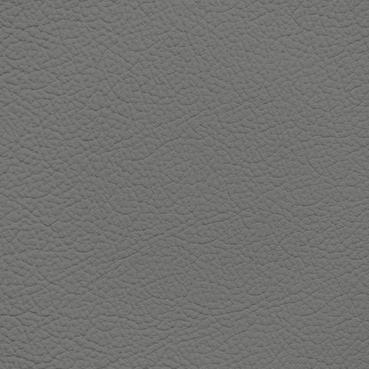 Ford/Lincoln/Mercury Smoke Leather Dye
