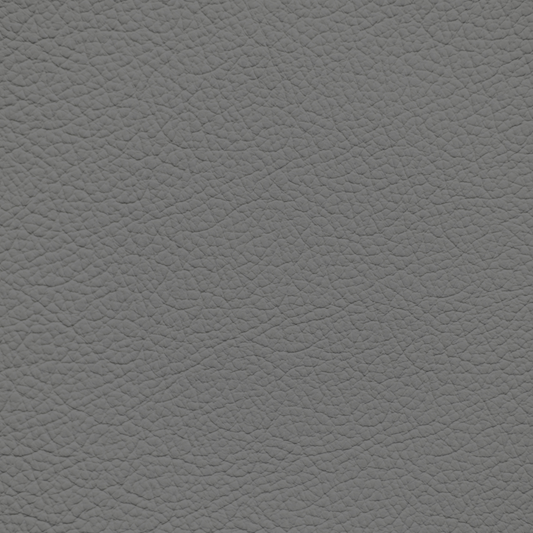 Ford/Lincoln/Mercury Smoke Leather Dye