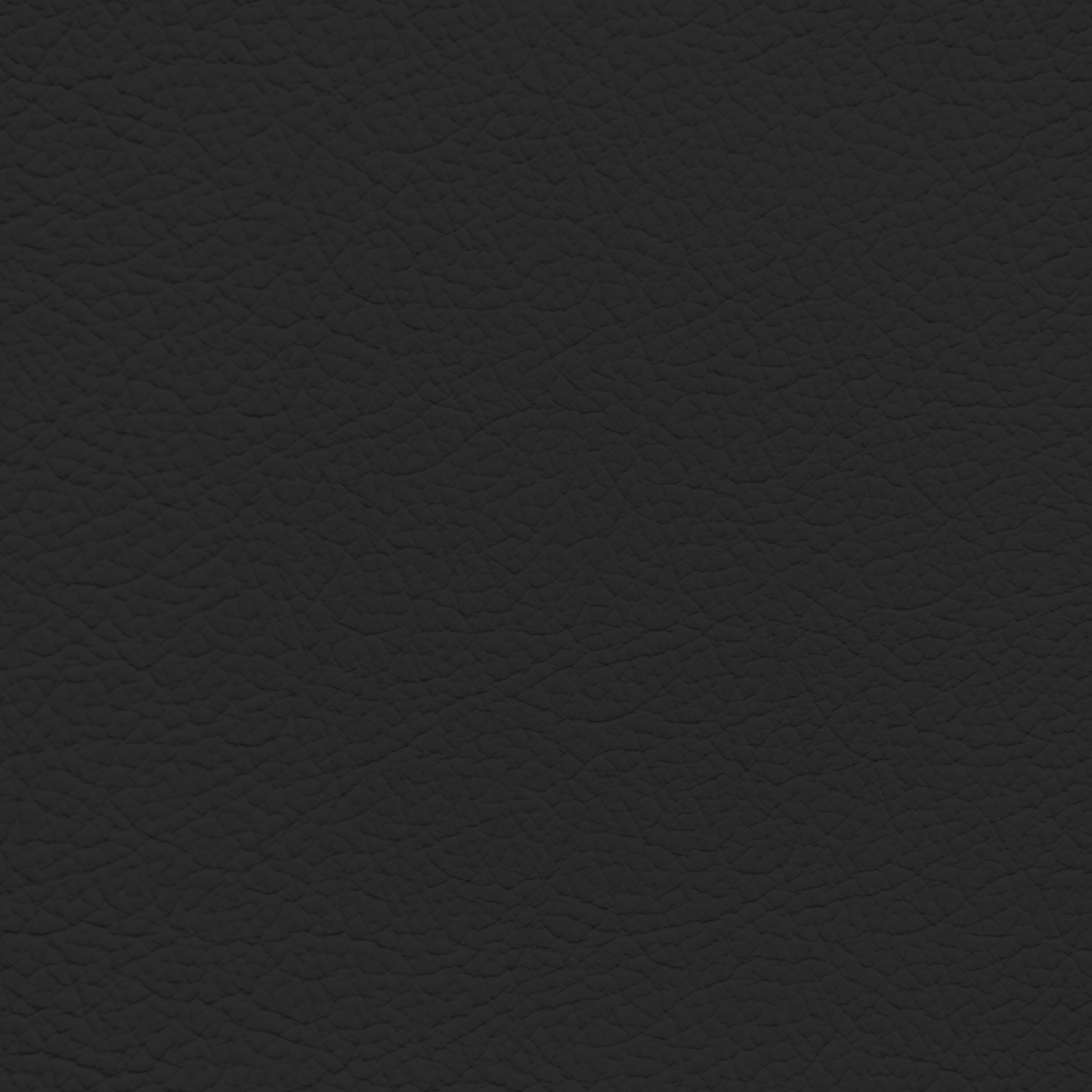 Audi Soul Black Leather Dye