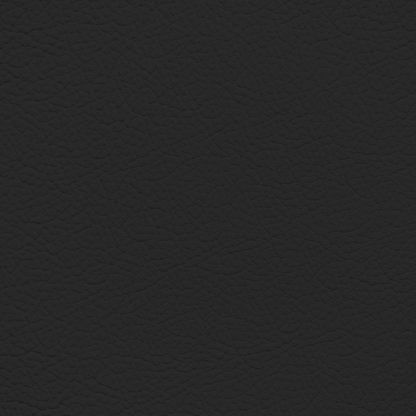 Audi Soul Black Leather Dye