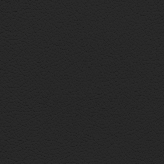 Audi Soul Black Leather Dye