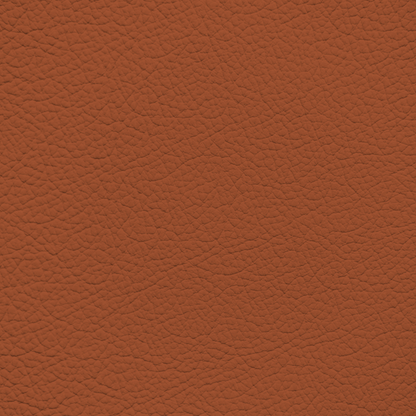 Volkswagen Staff Orange Leather Dye