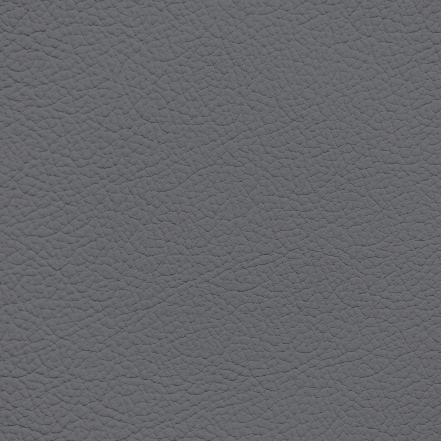 Ford/Lincoln/Mercury Steel Gray Leather Dye
