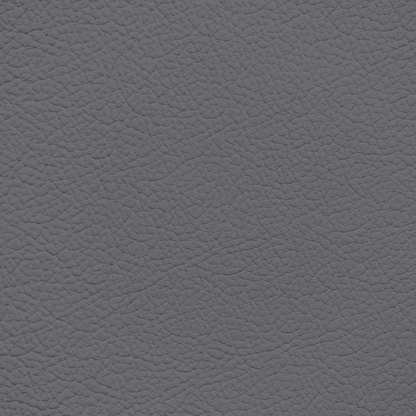 Ford/Lincoln/Mercury Steel Gray Leather Dye