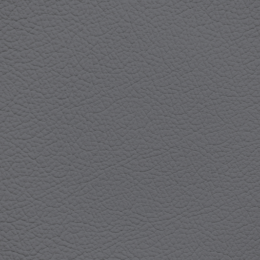 Ford/Lincoln/Mercury Steel Gray Leather Dye