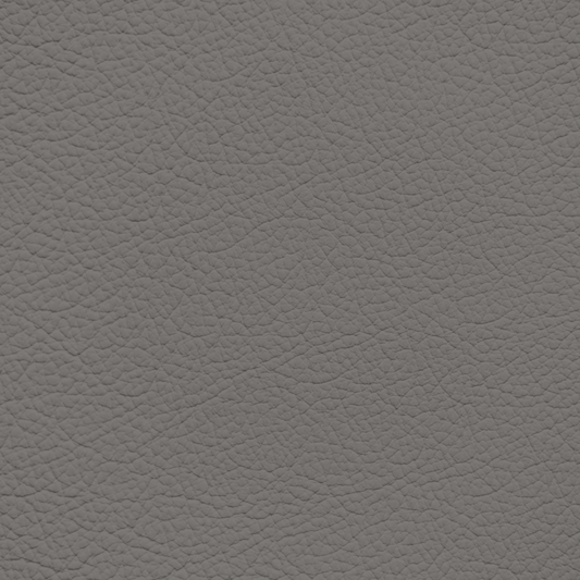 Nissan Steel Leather Dye