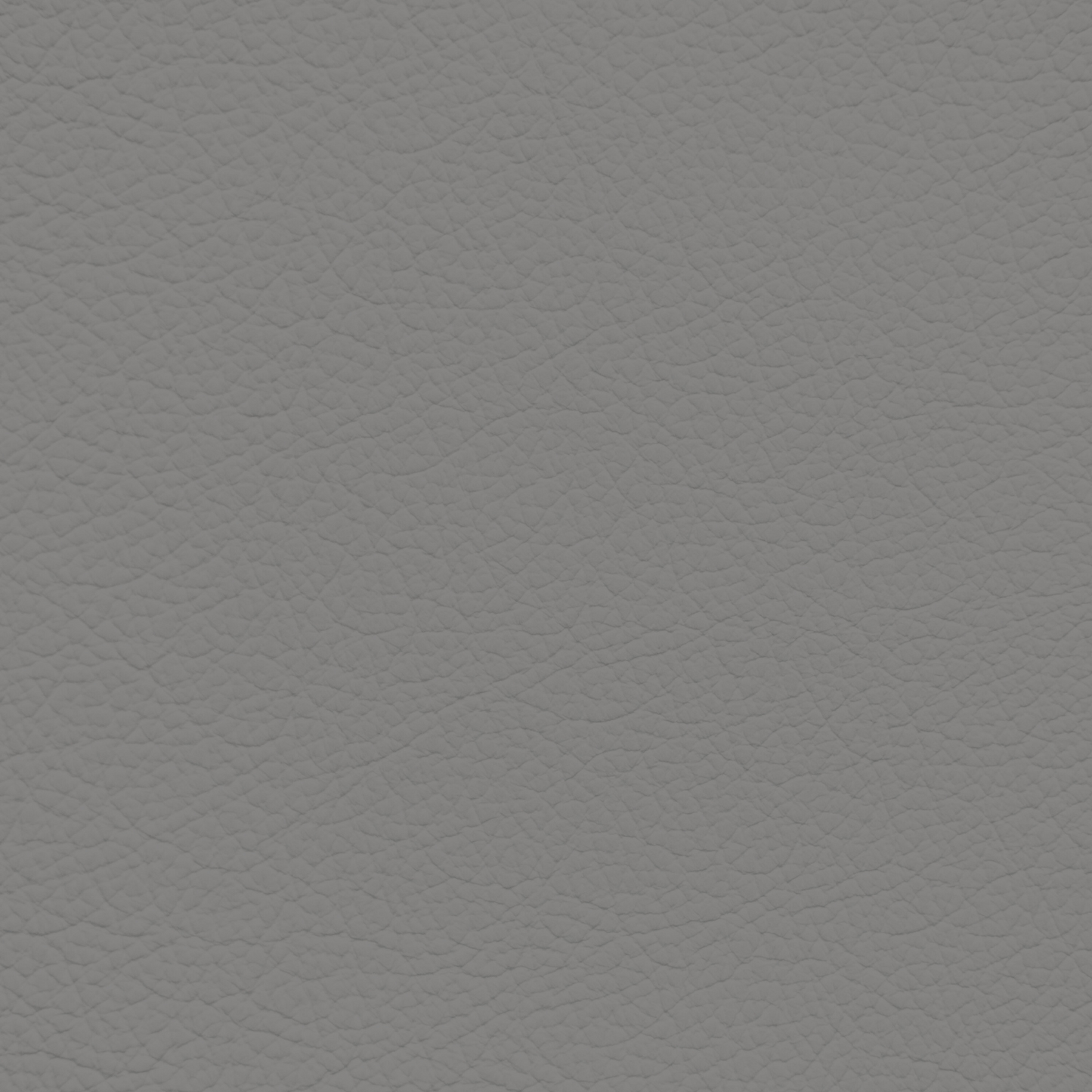 Porsche Steel Leather Dye