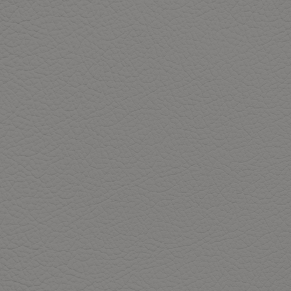Porsche Steel Leather Dye