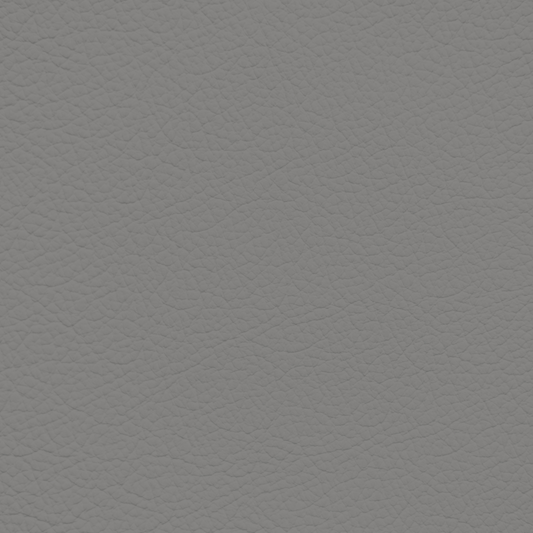 Porsche Steel Leather Dye