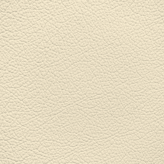 Mercedes Stone Leather Dye