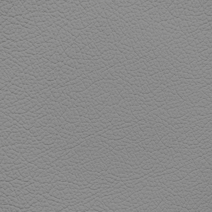 Mercedes Stone Leather Dye