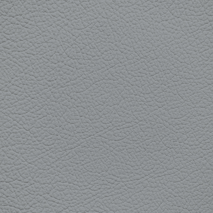 Toyota Stone Leather Dye