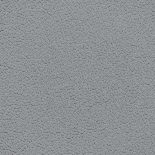 Toyota Stone Leather Dye