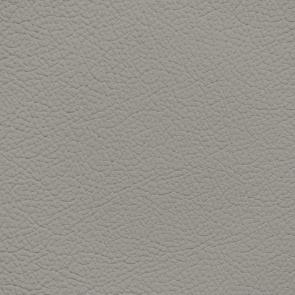 Lexus Moonstone Leather Dye