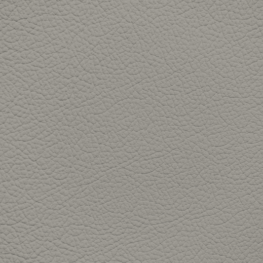 Lexus Moonstone Leather Dye