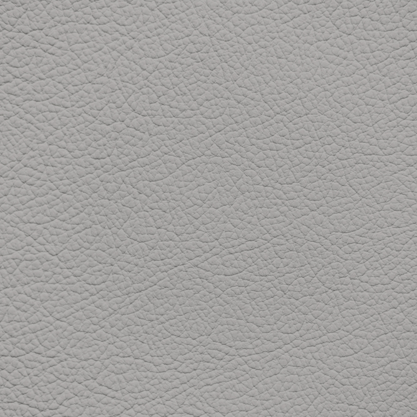 Chrysler/Dodge/Jeep/Plymouth Sydney Leather Dye
