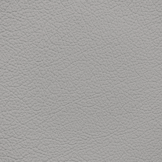 Chrysler/Dodge/Jeep/Plymouth Sydney Leather Dye