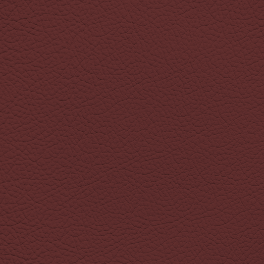 Mercedes Sunset Red Leather Dye