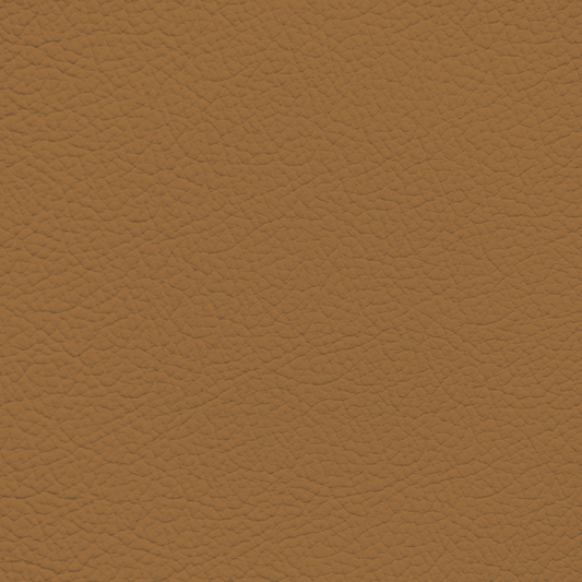 Jaguar Tan Leather Dye