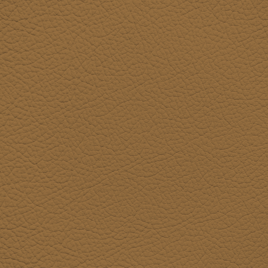 Mercedes Tan Leather Dye