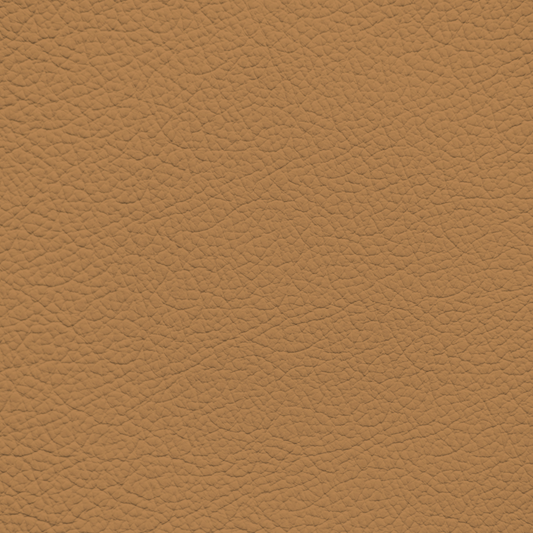 Nissan Tan Leather Dye