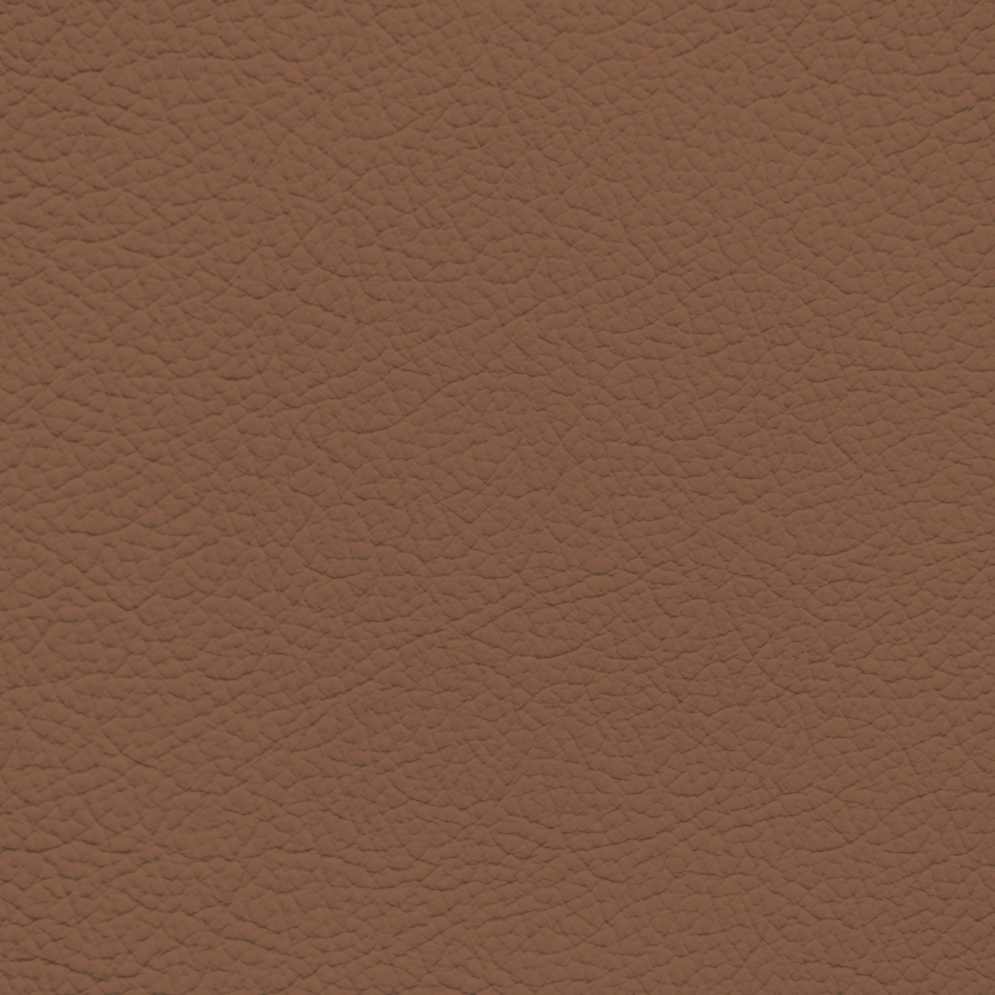 Land Rover Range Rover Tan Leather Dye