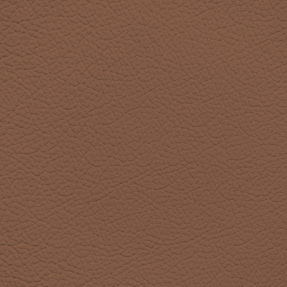 Land Rover Range Rover Tan Leather Dye