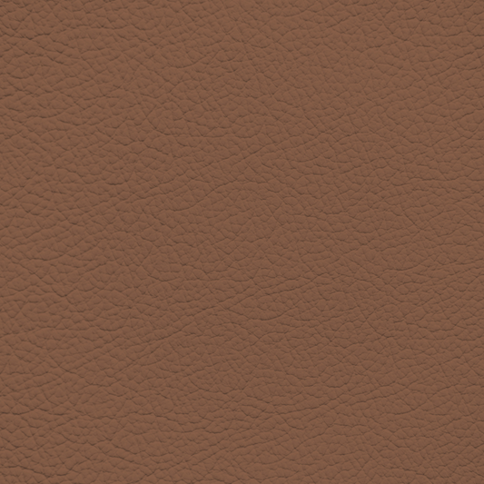 Land Rover Range Rover Tan Leather Dye