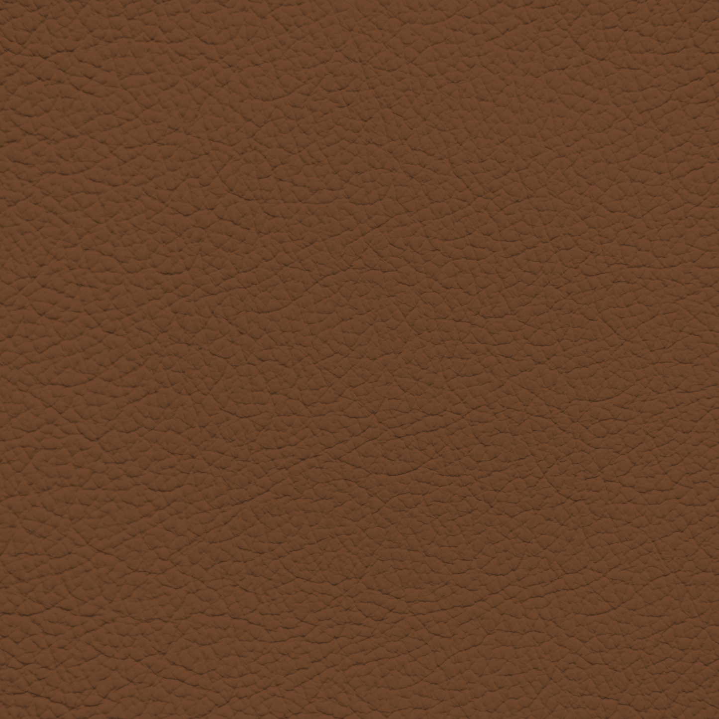 BMW Tartufo Leather Dye