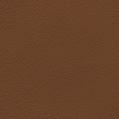 BMW Tartufo Leather Dye