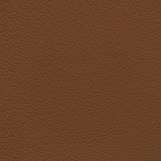 BMW Tartufo Leather Dye