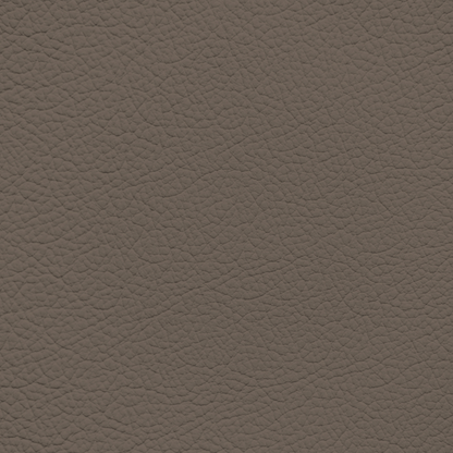 Chrysler/Dodge/Jeep/Plymouth Taupe Leather Dye