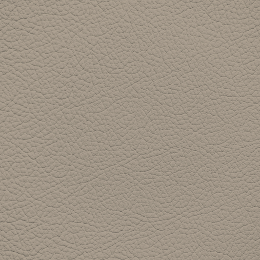 Lexus Taupe Leather Dye