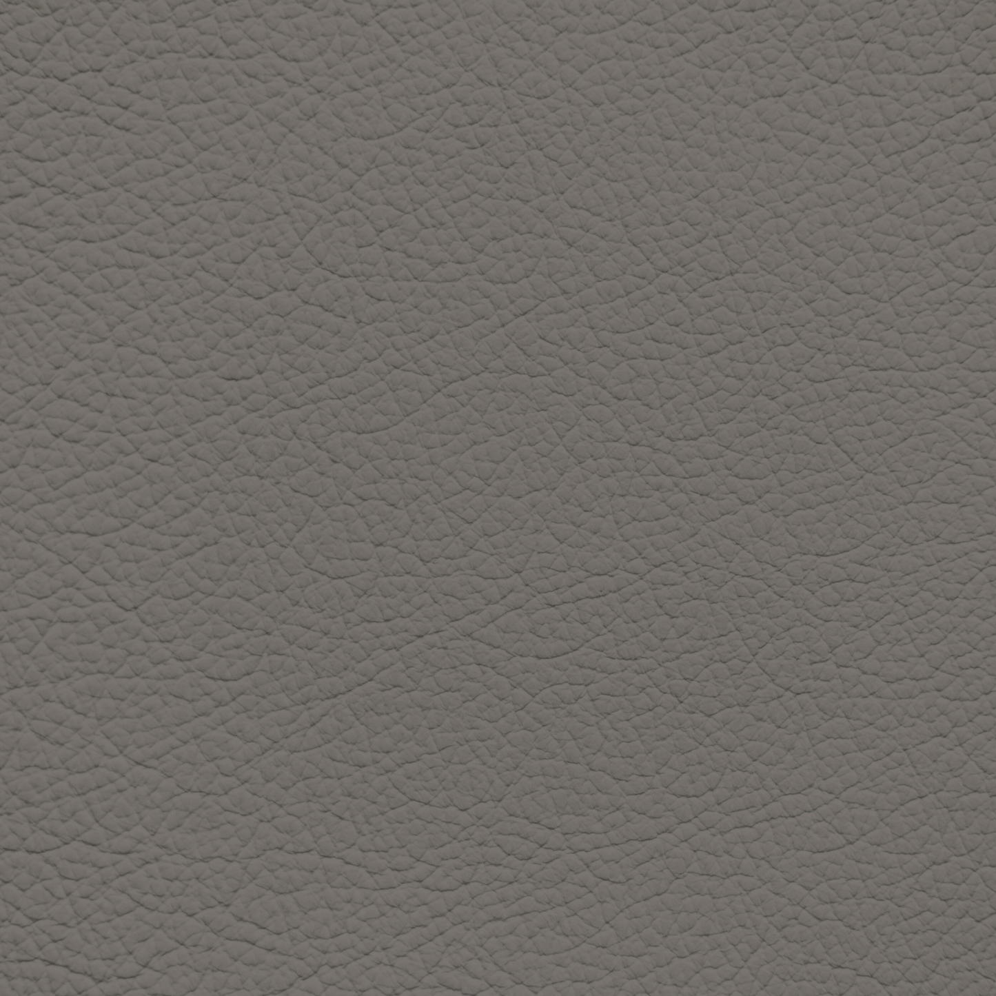 Nissan Taupe Leather Dye