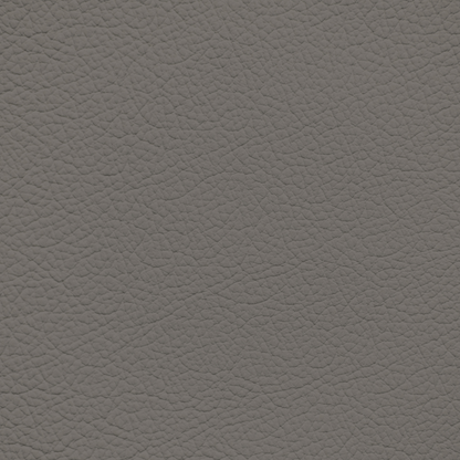 Nissan Taupe Leather Dye