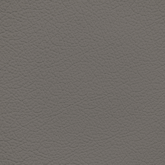 Nissan Taupe Leather Dye