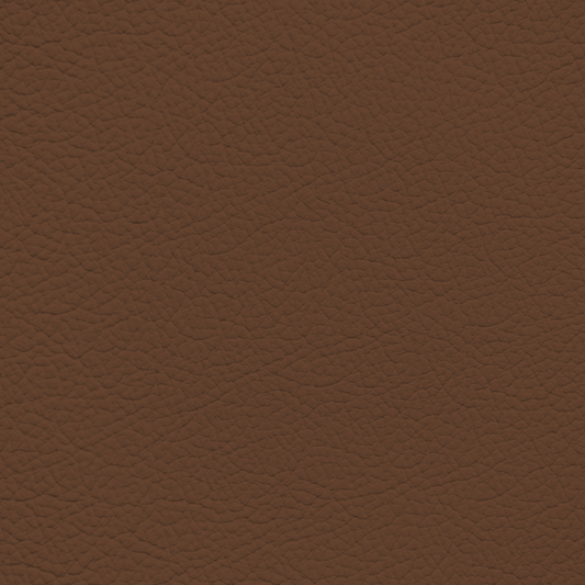 Mercedes Terra Cotta Leather Dye