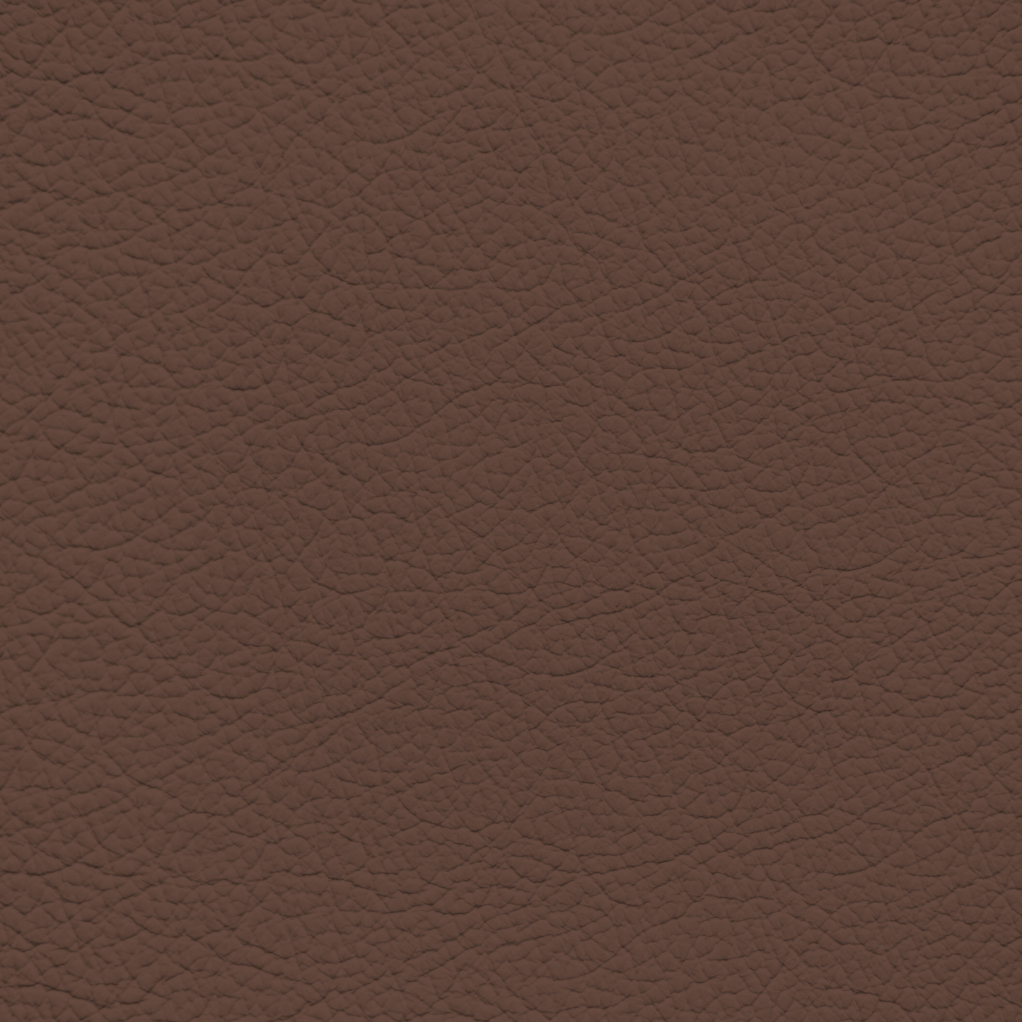 Ford/Lincoln/Mercury Terra Cotta Leather Dye