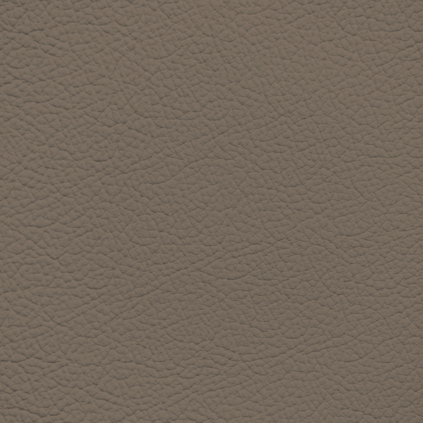 BMW Terra Brown Leather Dye