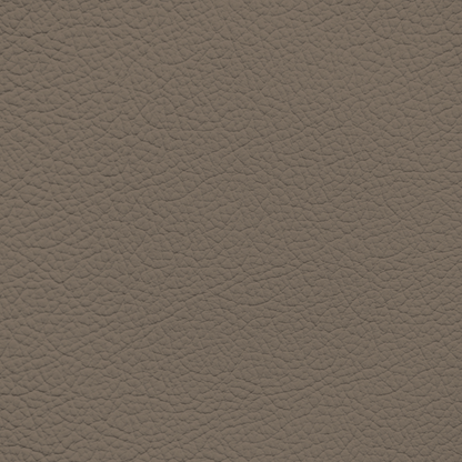 BMW Terra Brown Leather Dye
