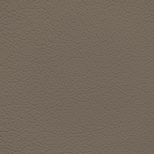 BMW Terra Brown Leather Dye