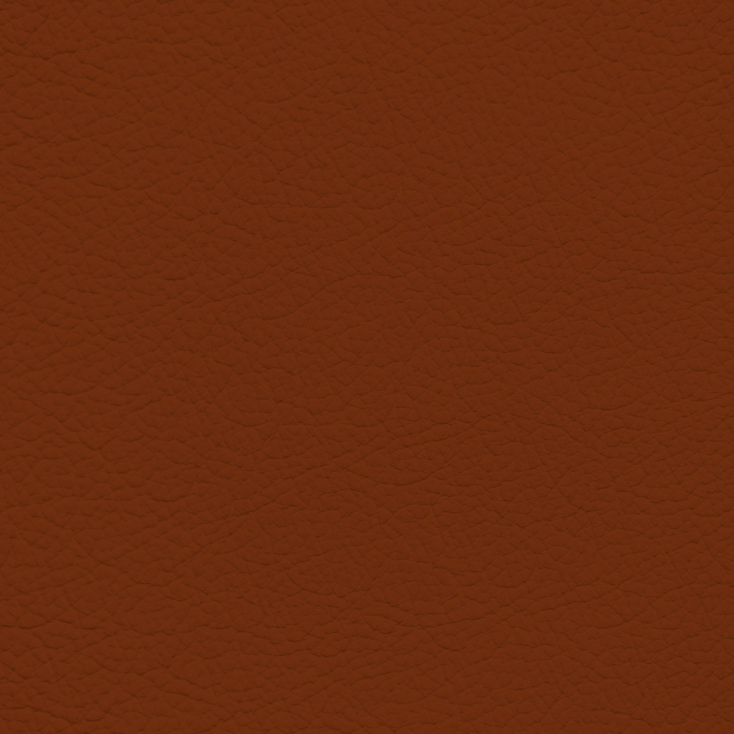 Porsche Terracotta Leather Dye