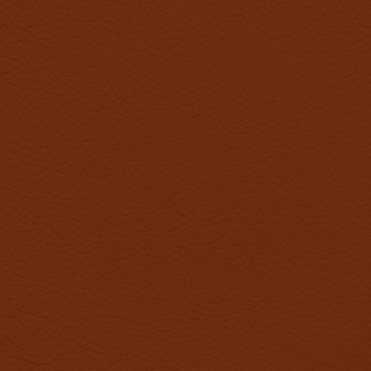Porsche Terracotta Leather Dye