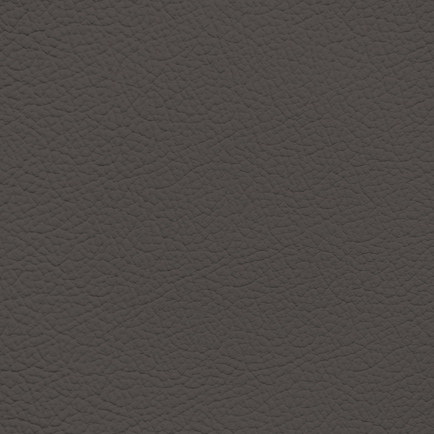 Mercedes Titan Gray Leather Dye