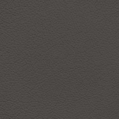 Mercedes Titan Gray Leather Dye