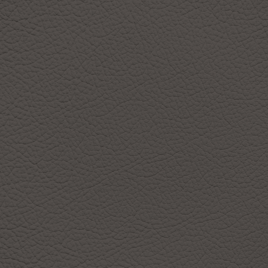 Mercedes Titan Gray Leather Dye