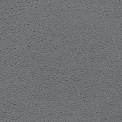 Subaru Titanium Leather Dye