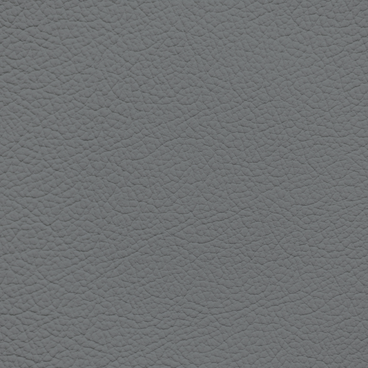Subaru Titanium Leather Dye